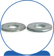 Duplex Flat Washers - SAE