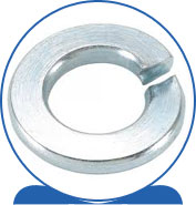 Duplex Split Lock Washers